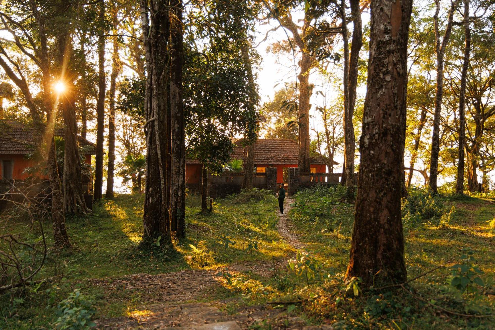 Jungle Park Resort By Greenescapes Vythiri Extérieur photo