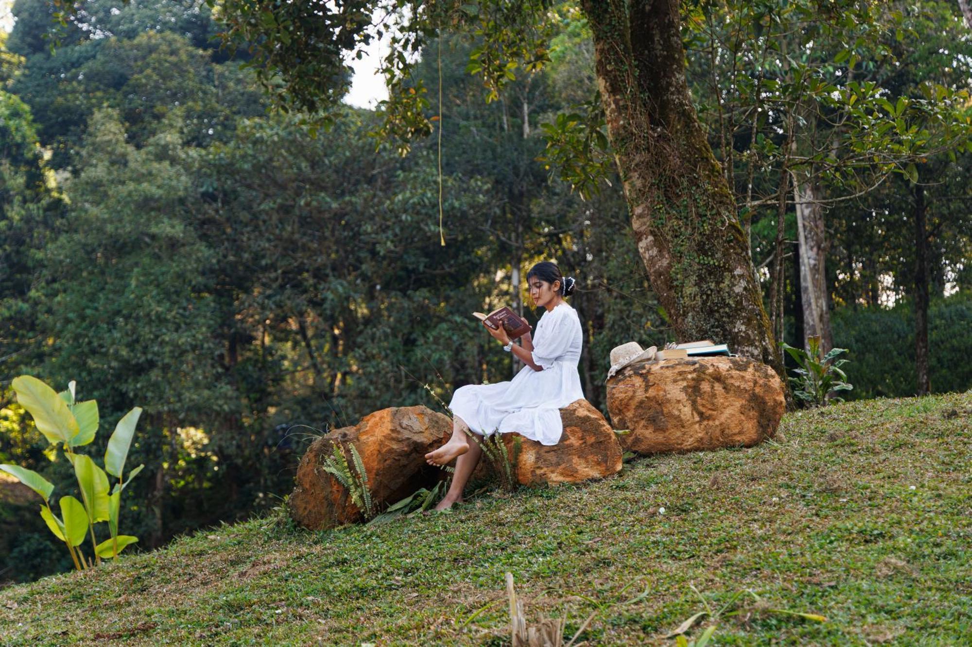 Jungle Park Resort By Greenescapes Vythiri Extérieur photo