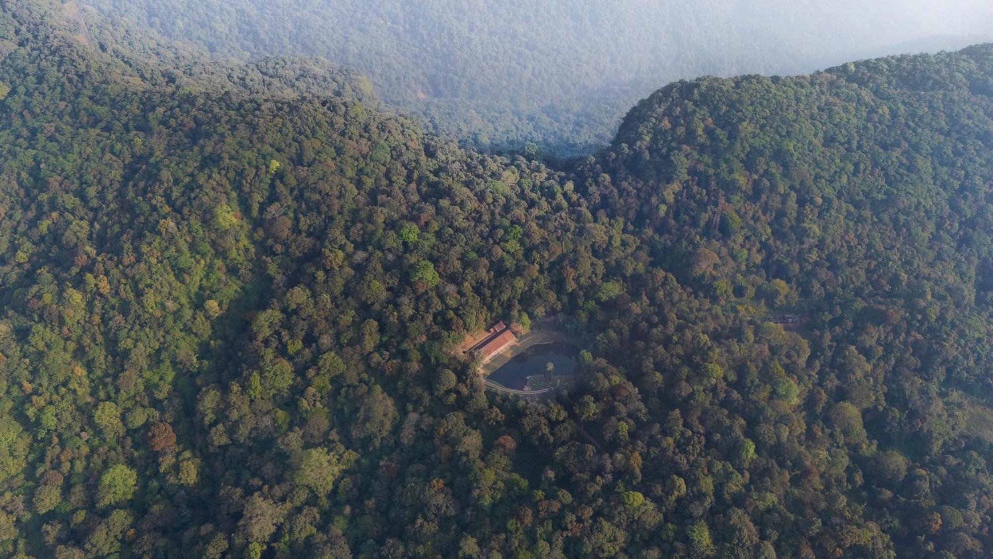 Jungle Park Resort By Greenescapes Vythiri Extérieur photo